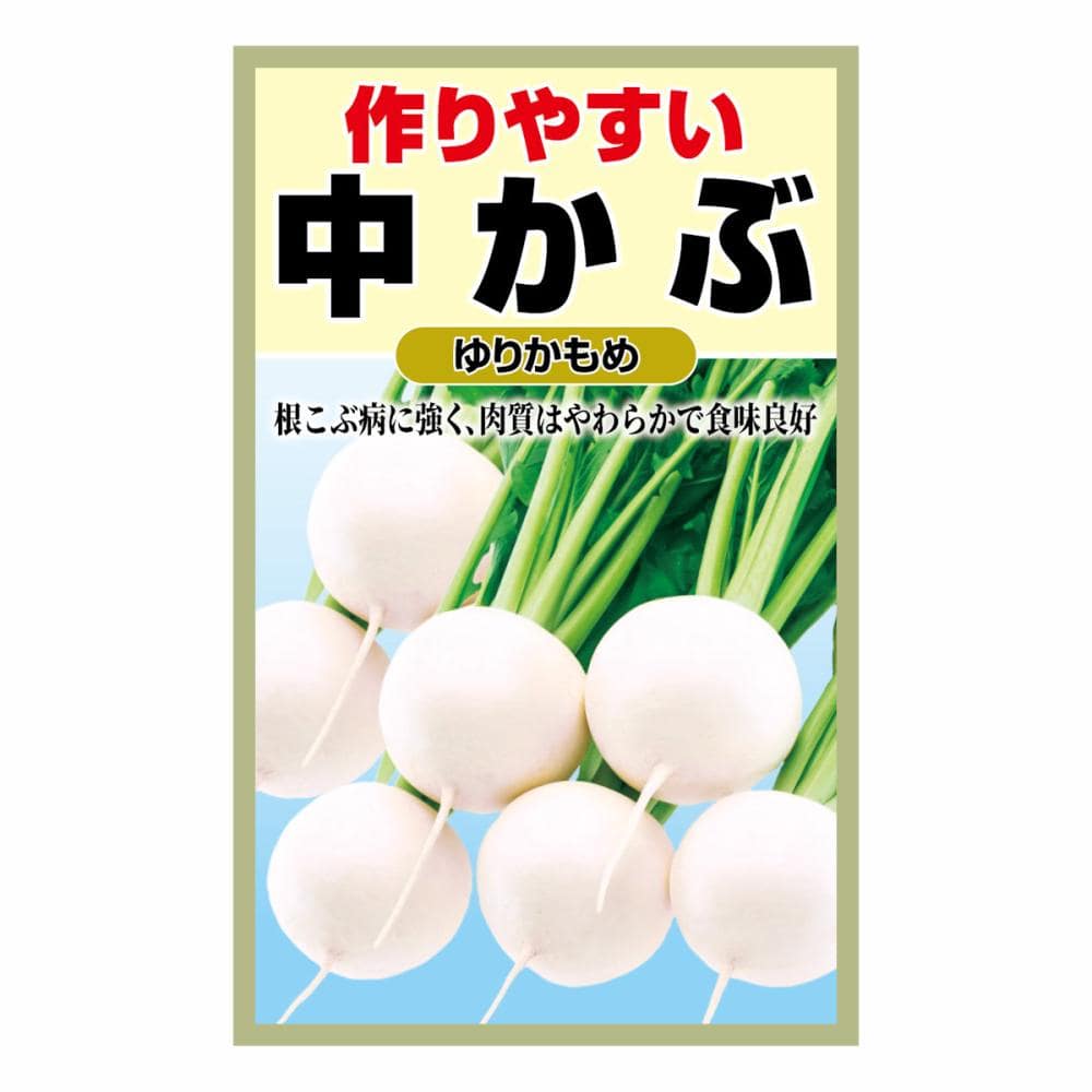 かぶ　ゆりかもめ