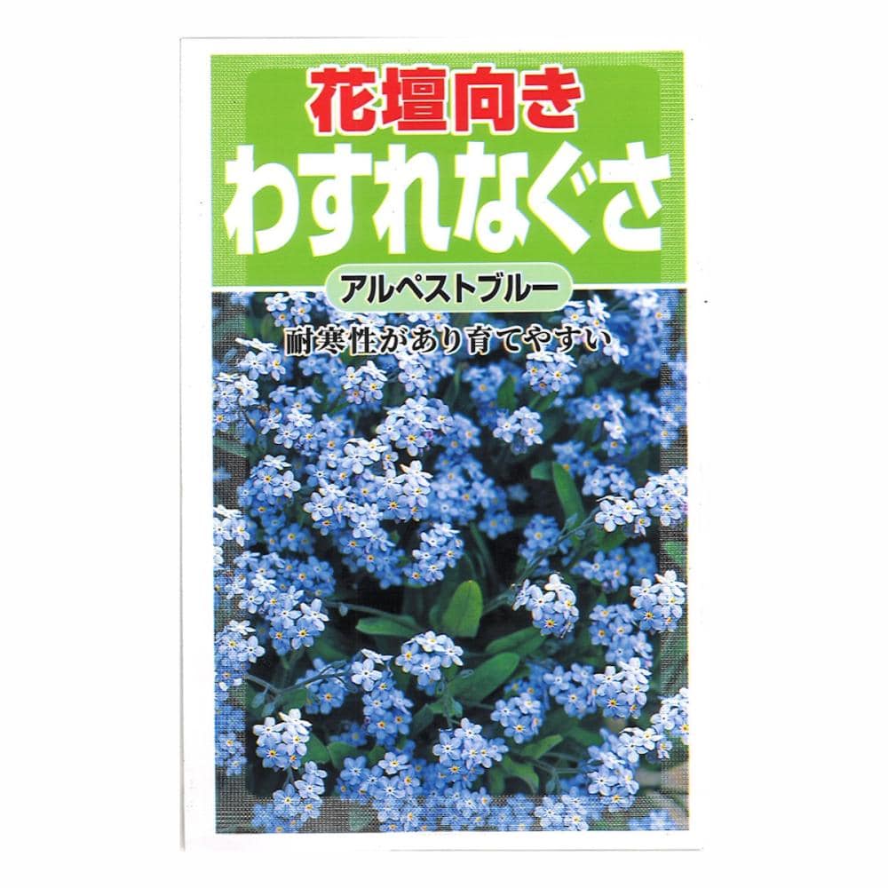 わすれな草