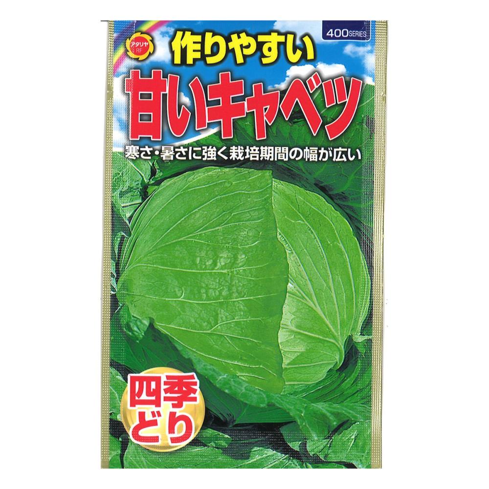 作りやすいキャベツ