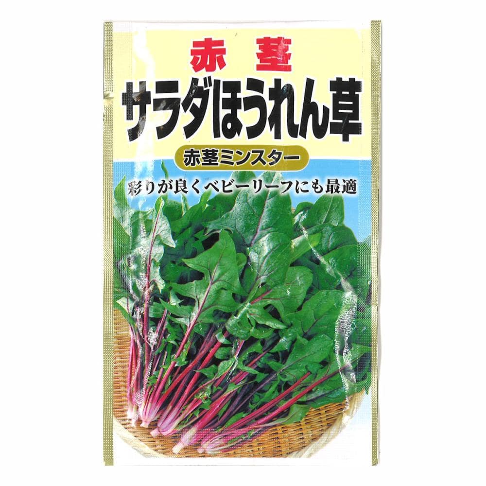 赤茎　サラダ　法蓮草