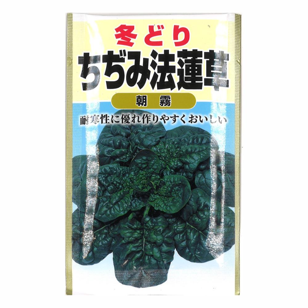 甘い　冬どり　ちぢみ法蓮草