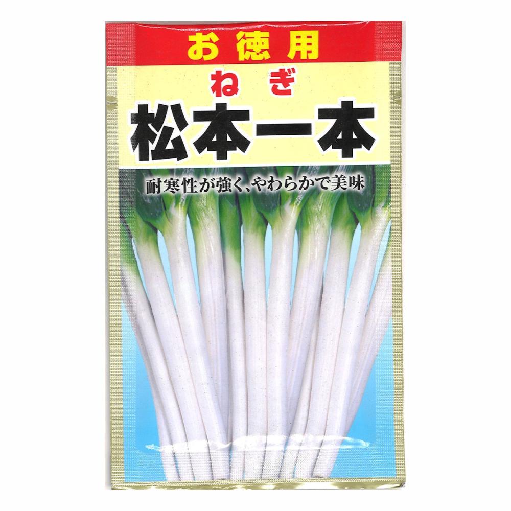 ねぎ　松本一本　お徳用