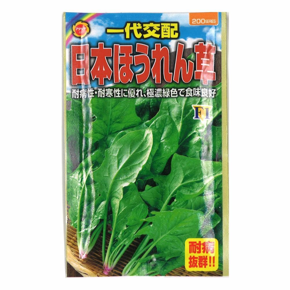 Ｆ１日本ほうれん草