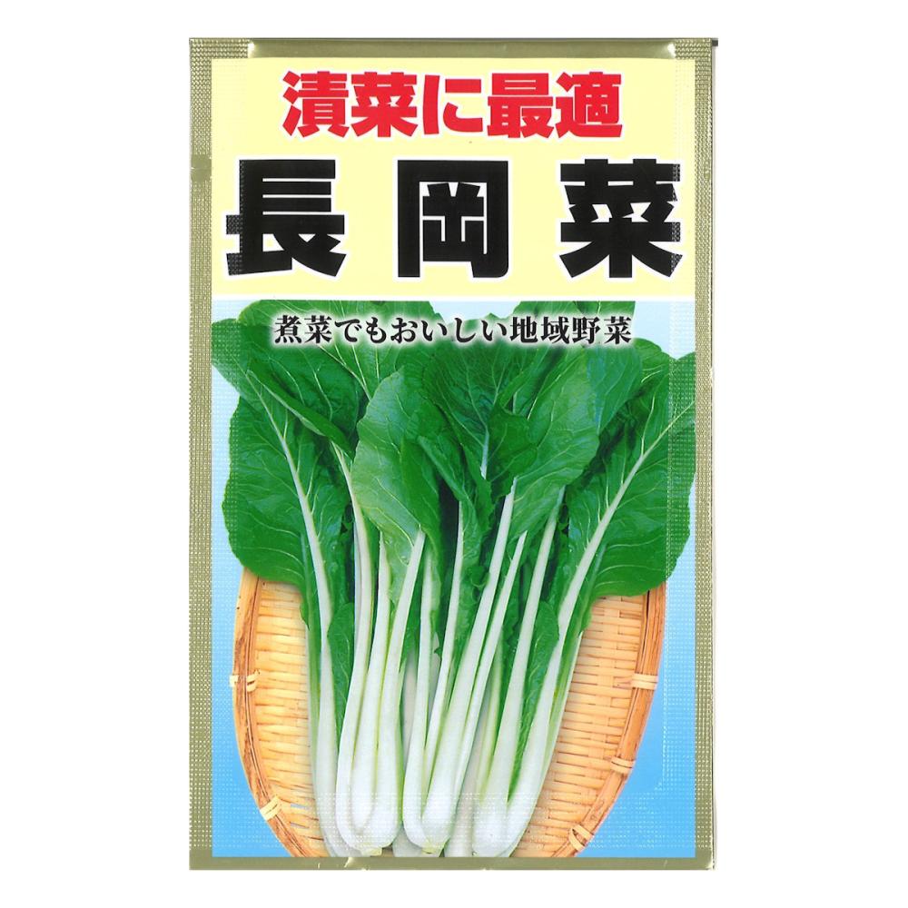長岡菜