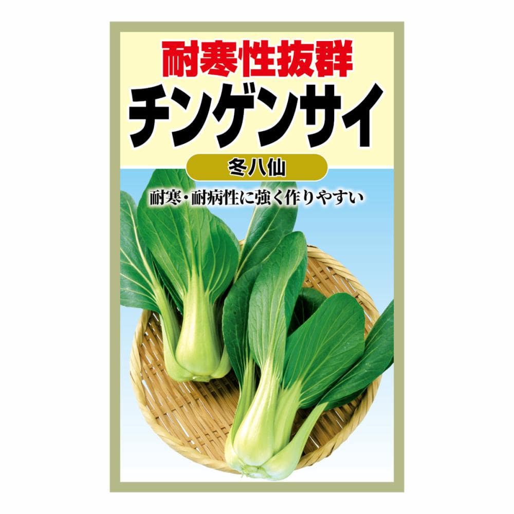 チンゲンサイ　冬八仙