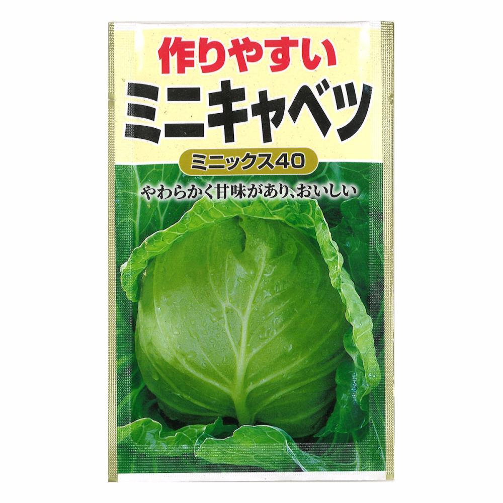 ミニキャベツ