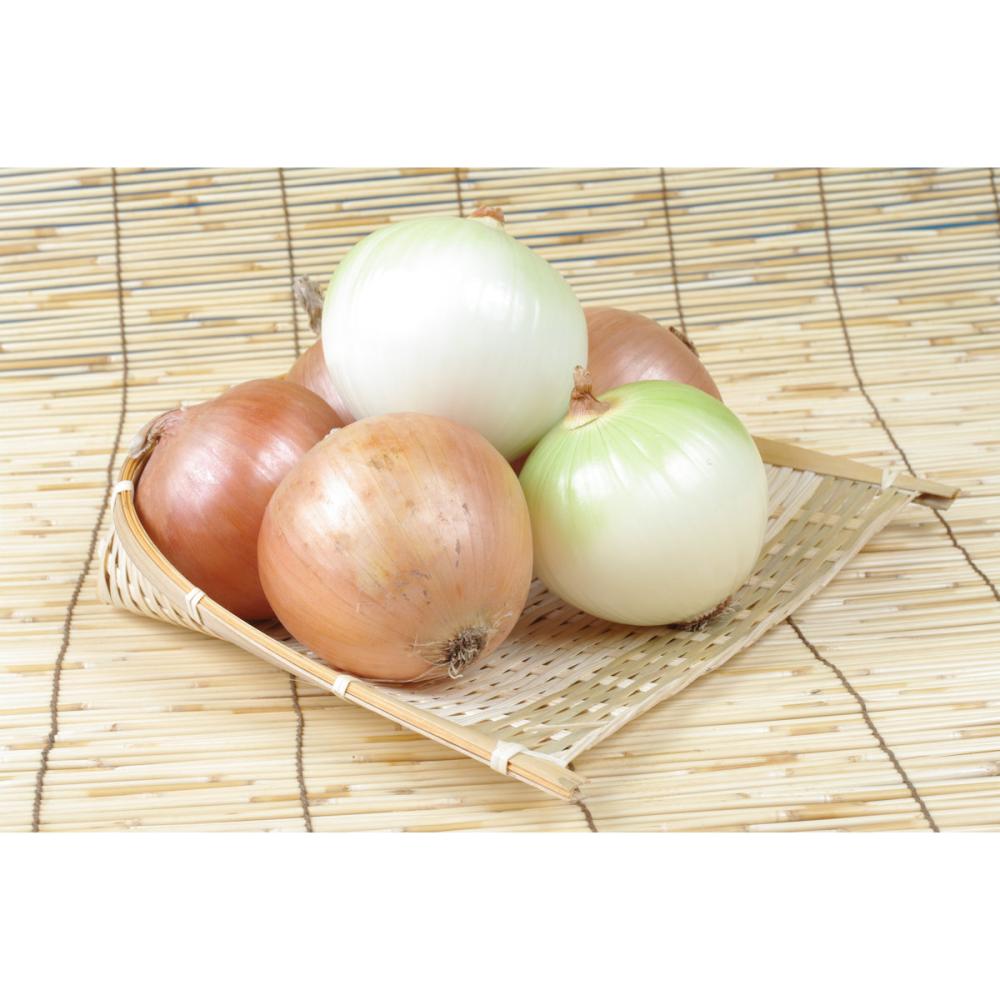 【秋予約】　ホームタマネギ　１ｋｇ 　【申込期限：７月２６日】【引渡予定日：８月８日～１６日】
