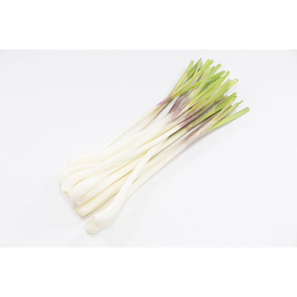 【秋予約】　エシャレット　２００ｇ 　【申込期限：７月２６日】【引渡予定日：８月８日～１６日】