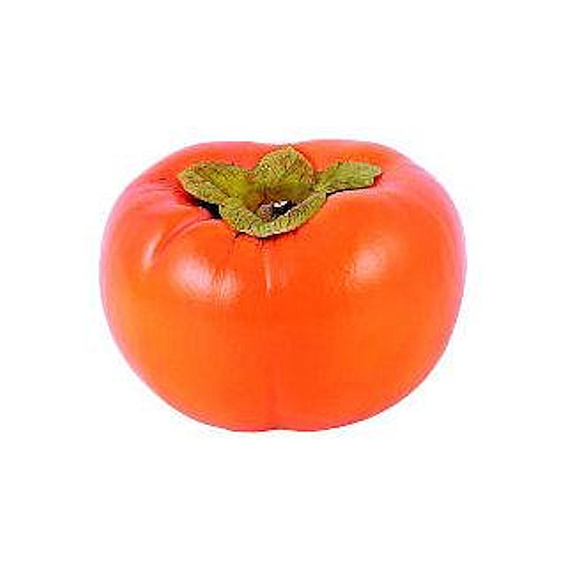 【春予約】　カキ苗　ジャンボ富有（甘柿）　【引渡予定日：４／４（土）～１２（日）】