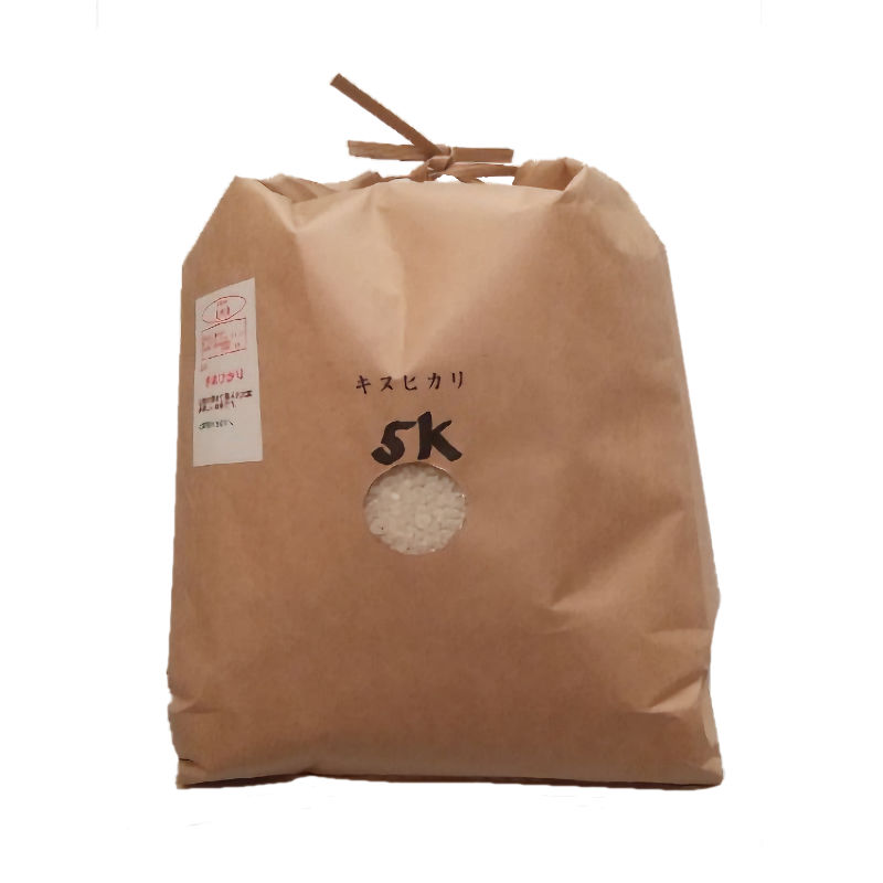 京都府産　令和７年度　キヌヒカリ　精米　５ｋｇ