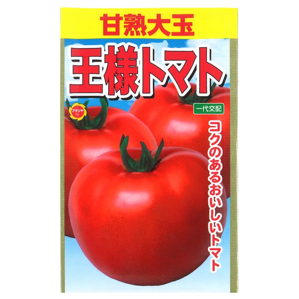 トマト種子　甘熟大玉　王様トマト