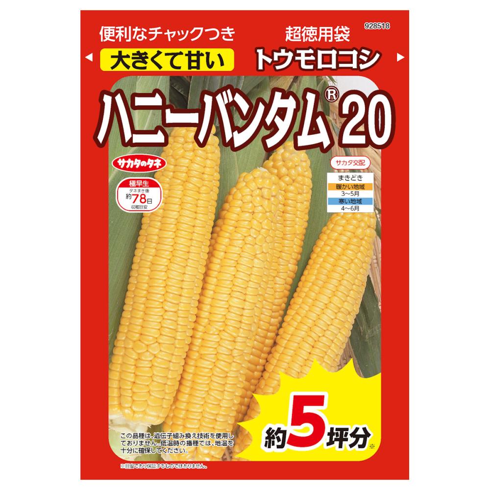 トウモロコシ種子　大きくて甘い　ハニーバンタム２０　超徳用袋