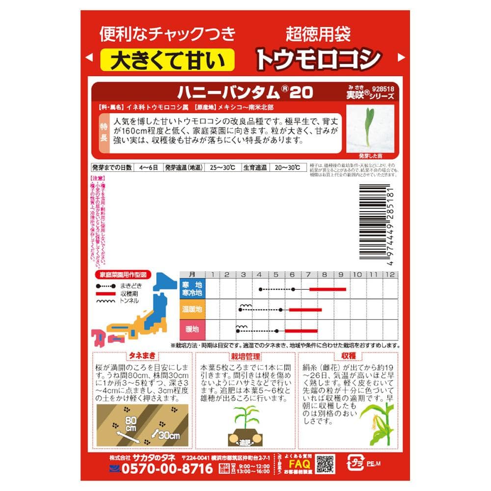 トウモロコシ種子　大きくて甘い　ハニーバンタム２０　超徳用袋