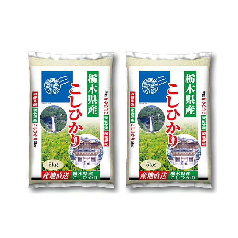 令和４年度　栃木県産コシヒカリ　５ｋｇ×２袋　合計１０ｋｇ