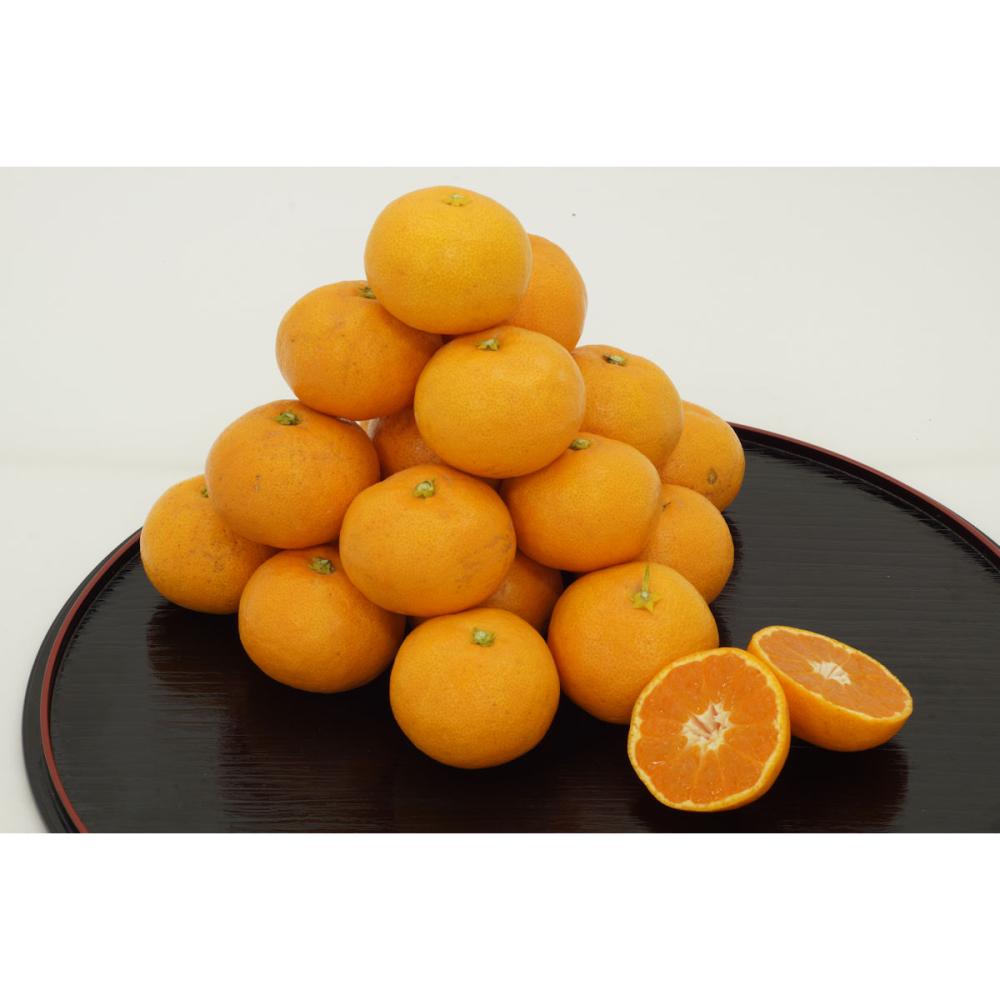 和歌山県有田川町産　木成り完熟みかん　約３ｋｇ（３５～４５玉入）【注文期限：2025年12月24日】