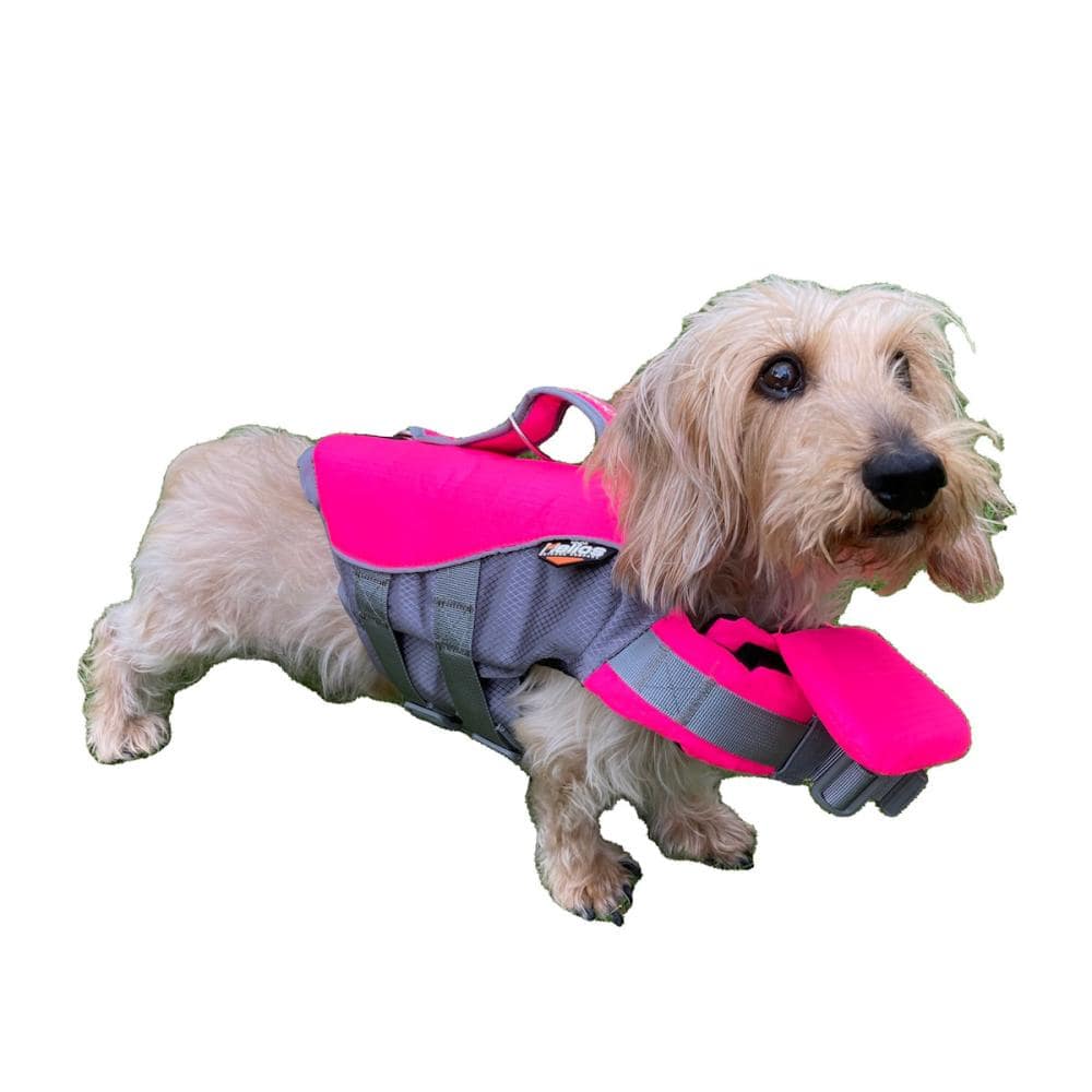 愛犬用ライフジャケット ピンク Ｌ の通販 ホームセンター コメリドットコム