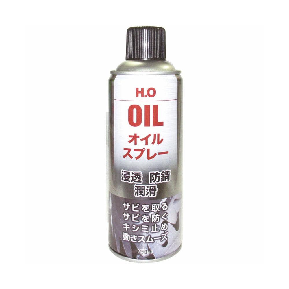 ＡＺ（エーゼット）　ＨＯオイルスプレー２５０ｍＬ　Ｗ１４５