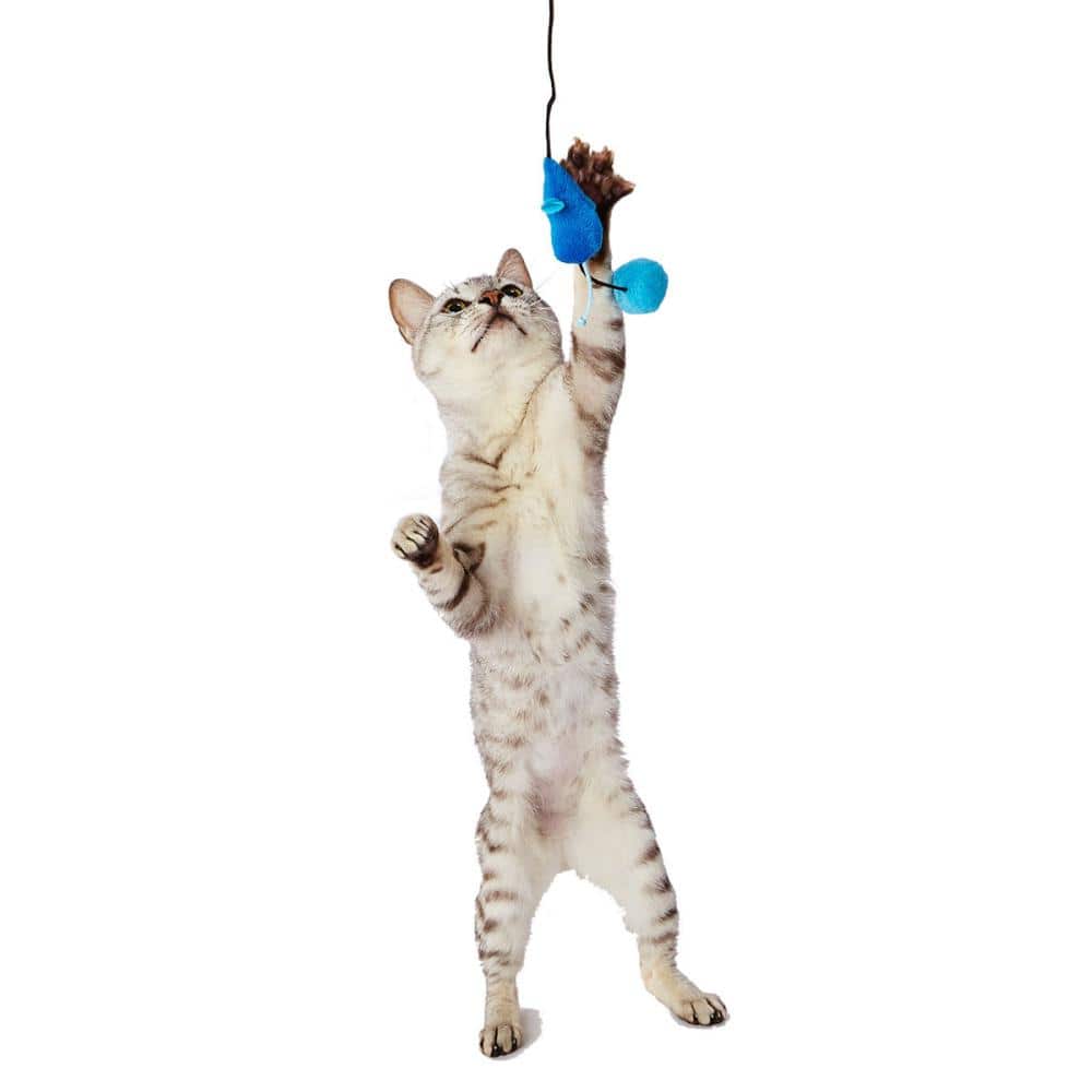 ペティオ　大好きブルーの猫じゃらしマウス＆ボール