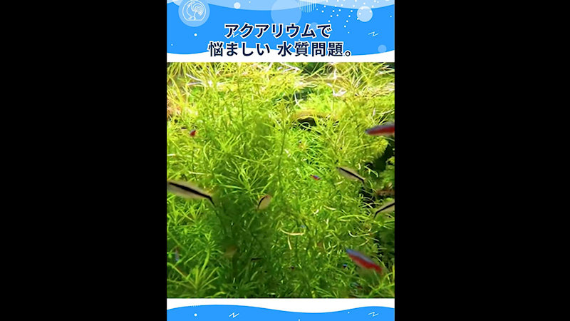 商品動画サムネイル