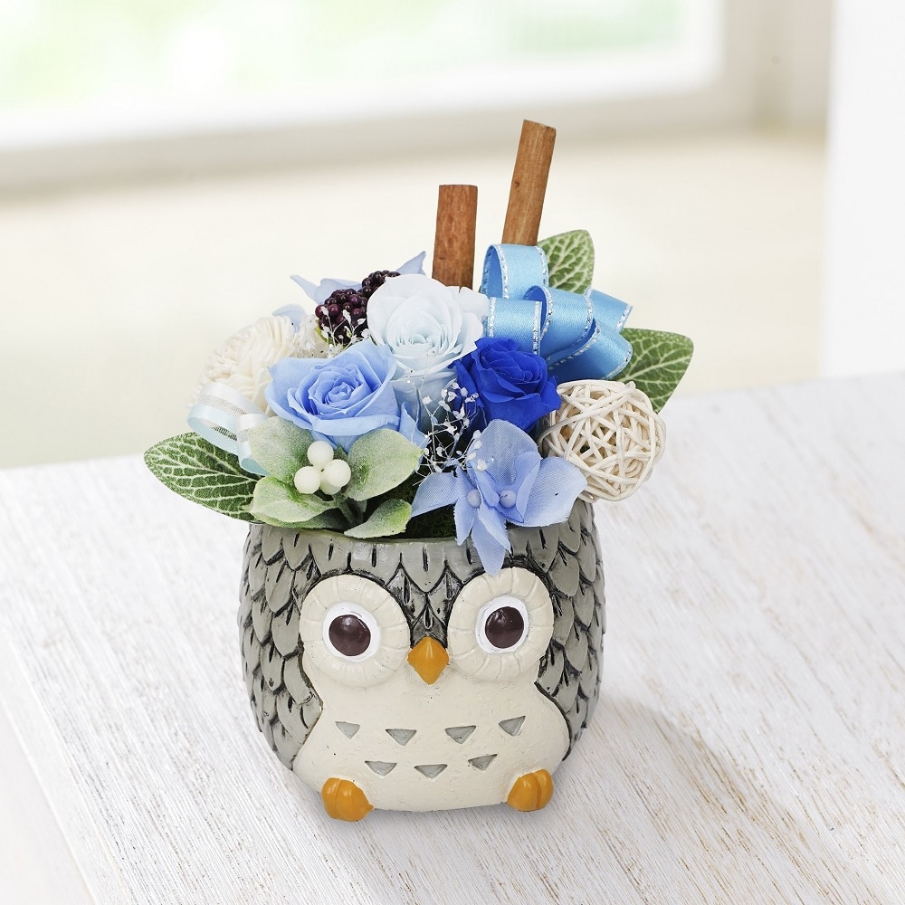 【父の日ギフト】　プリザーブドフラワー　しあわせふくろう　青　【申込期限：６月１７日】【お届け予定日：６月１８日～２１日】