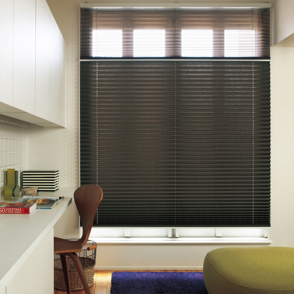 オーダープリーツスクリーンしおり２５ツインワンチェーンコルト幅８１～１２０高６１～１００