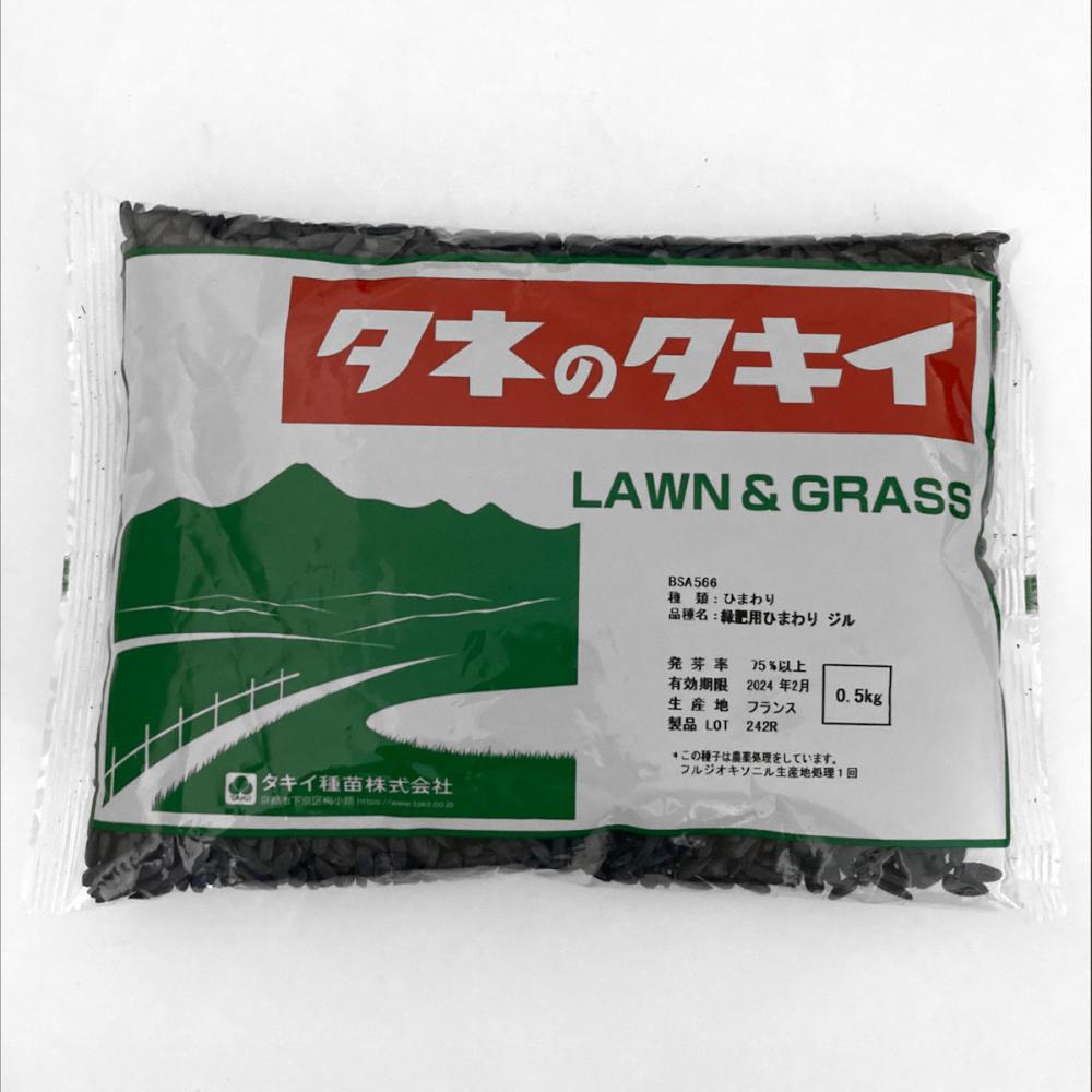 【緑肥種子】　ヒマワリ　ジル　０．５ｋｇ　５袋