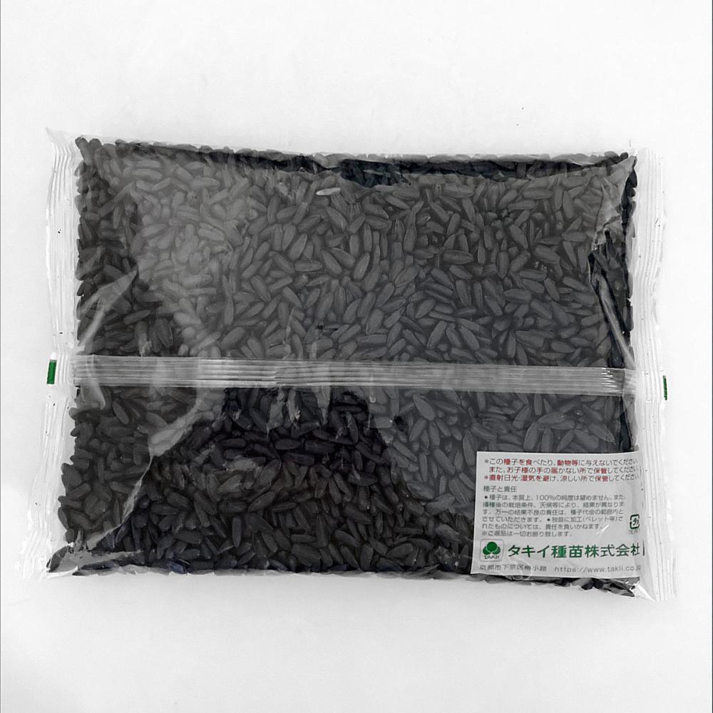 【緑肥種子】　ヒマワリ　ジル　０．５ｋｇ　５袋
