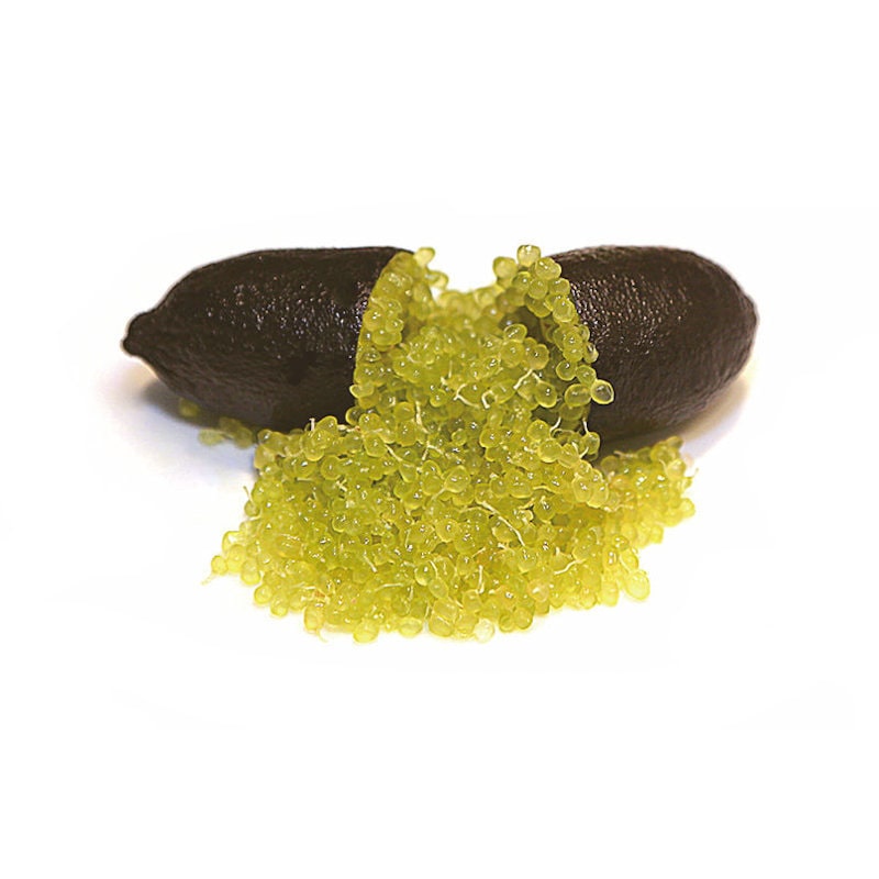 【春予約】　フィンガーライム　コレット　【引渡予定日：４／４（土）～１２（日）】