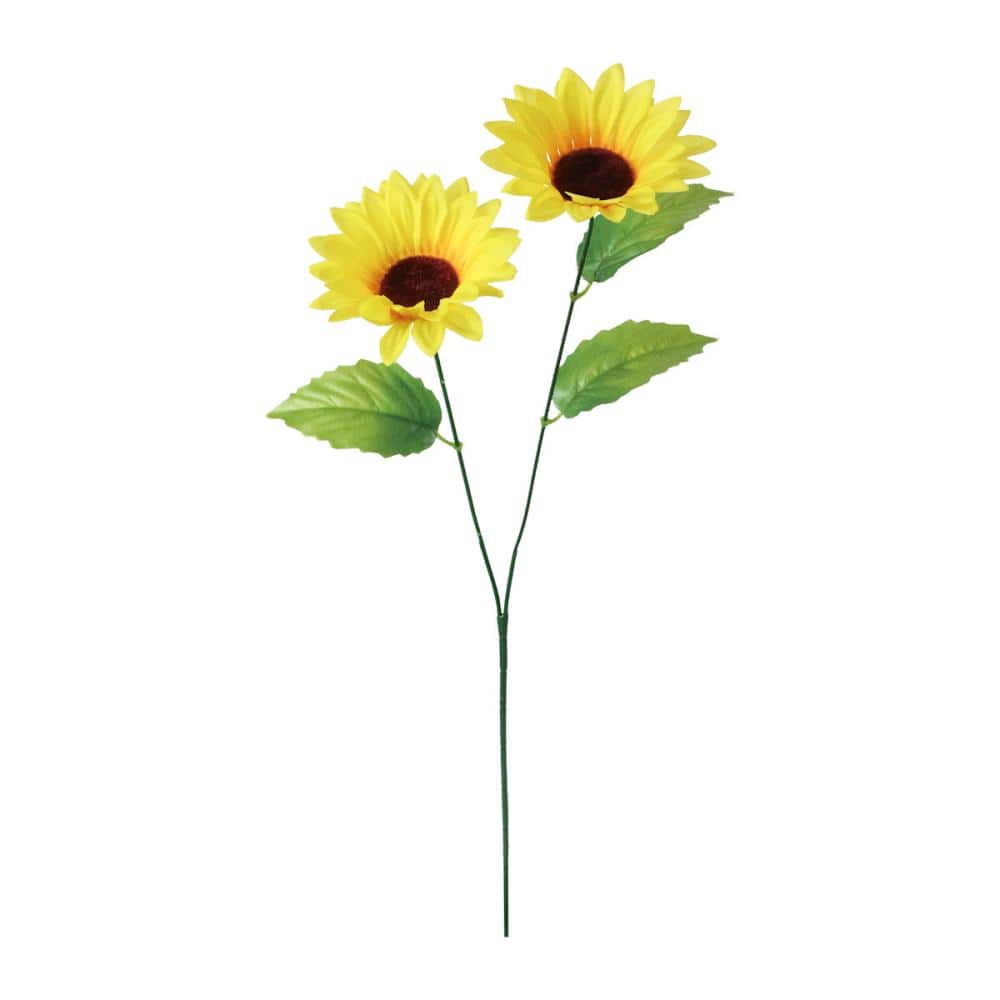 ひまわり(kure)様 summer_sunflower_002_001_1200x