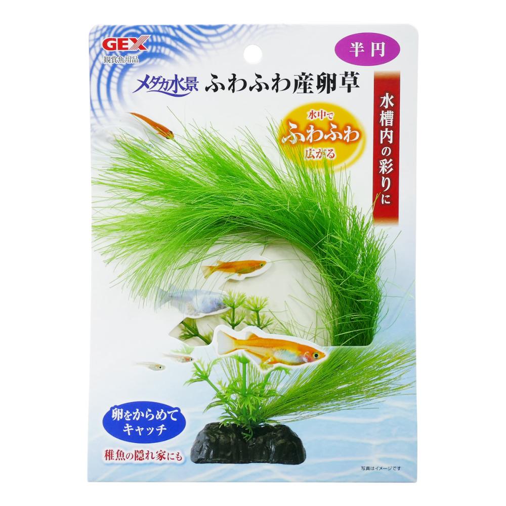 6個セット！GEX マリーナS水槽 ブラック 30cm水槽 蓋付 メダカにも最適 マリーナ GEX マリーナS水槽 ブラック 30cm水槽 お一