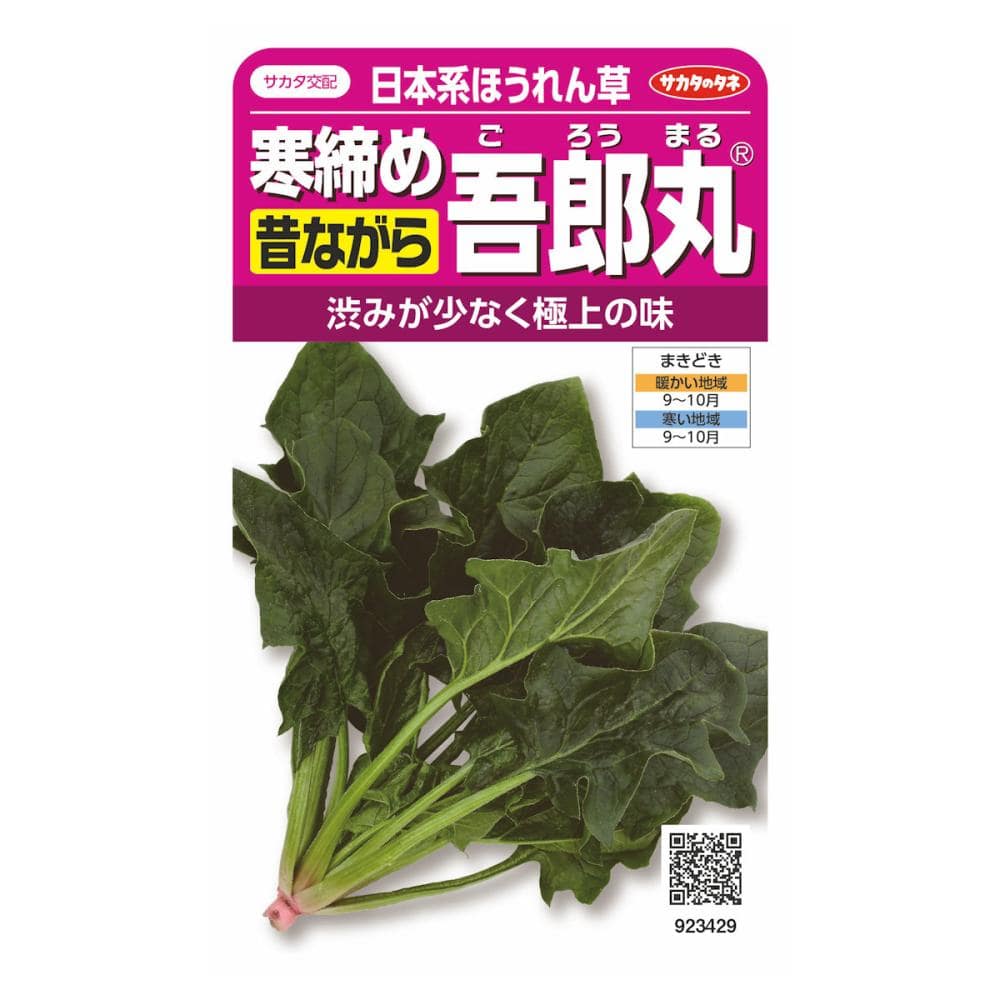ホウレンソウ　寒締め吾郎丸ほうれん草
