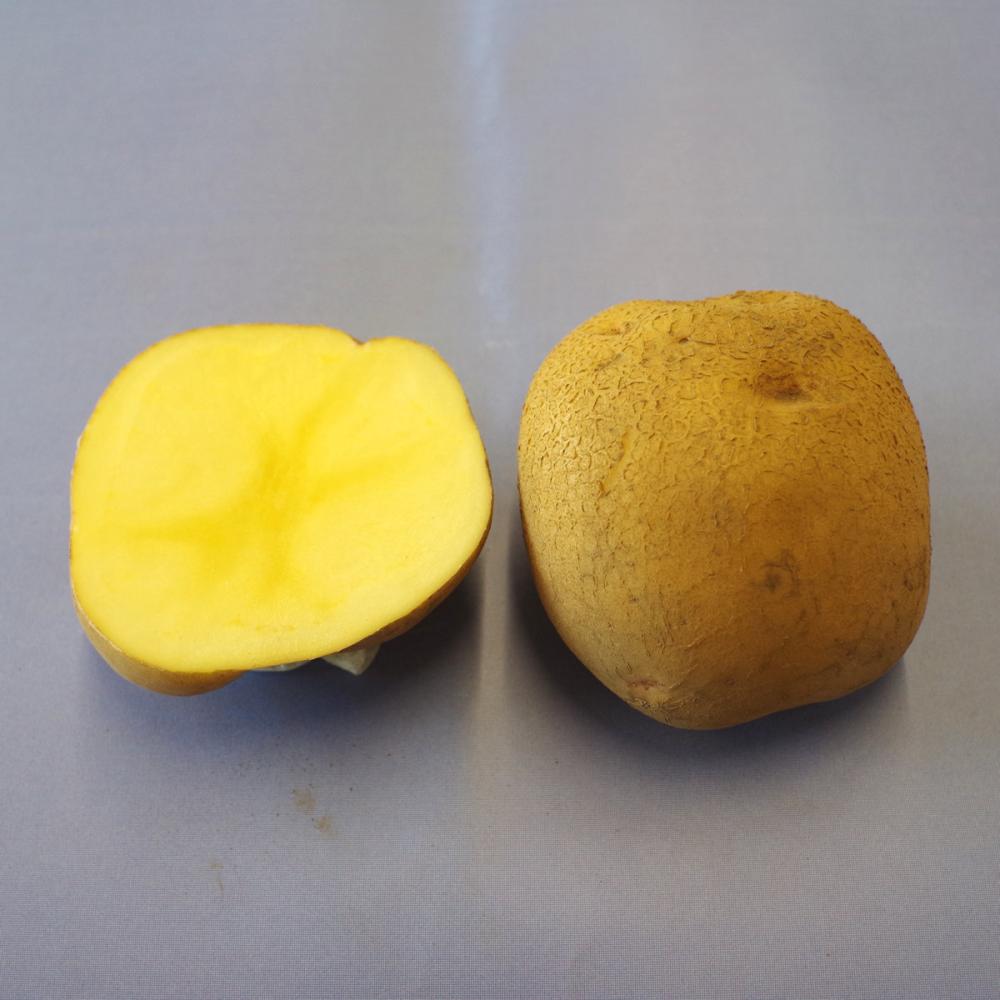 【種ジャガイモ予約】　キタアカリ　Ｓ玉（４０～６０ｇ）　１０ｋｇ　【申込期限：１月２５日】