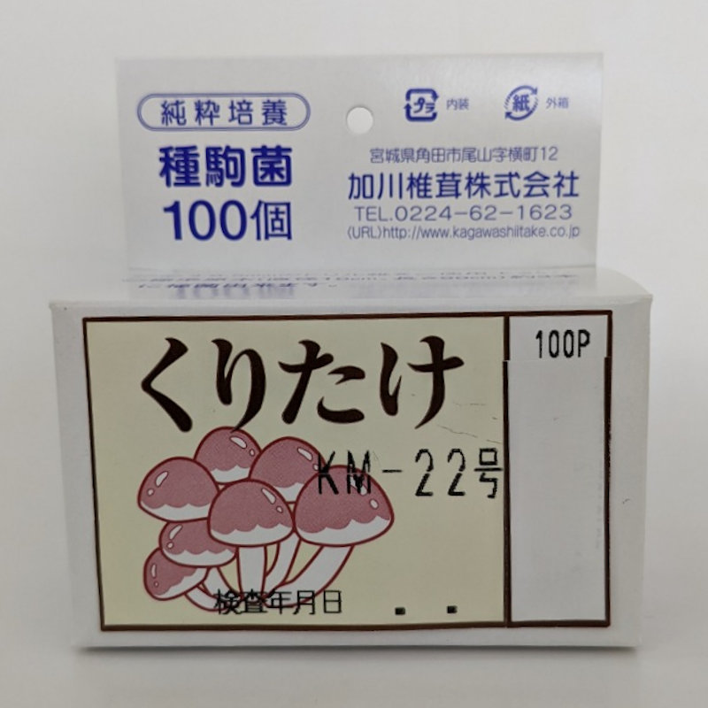 【宅配専用】　くりたけ　種駒　１００駒