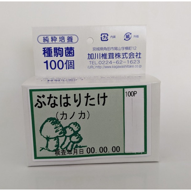 【宅配専用】　ぶなはりたけ　種駒　１００駒