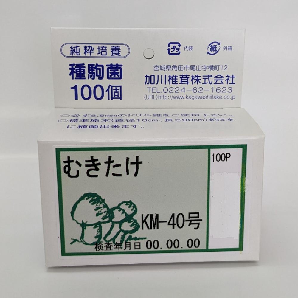 【宅配専用】　むきたけ　種駒　１００駒