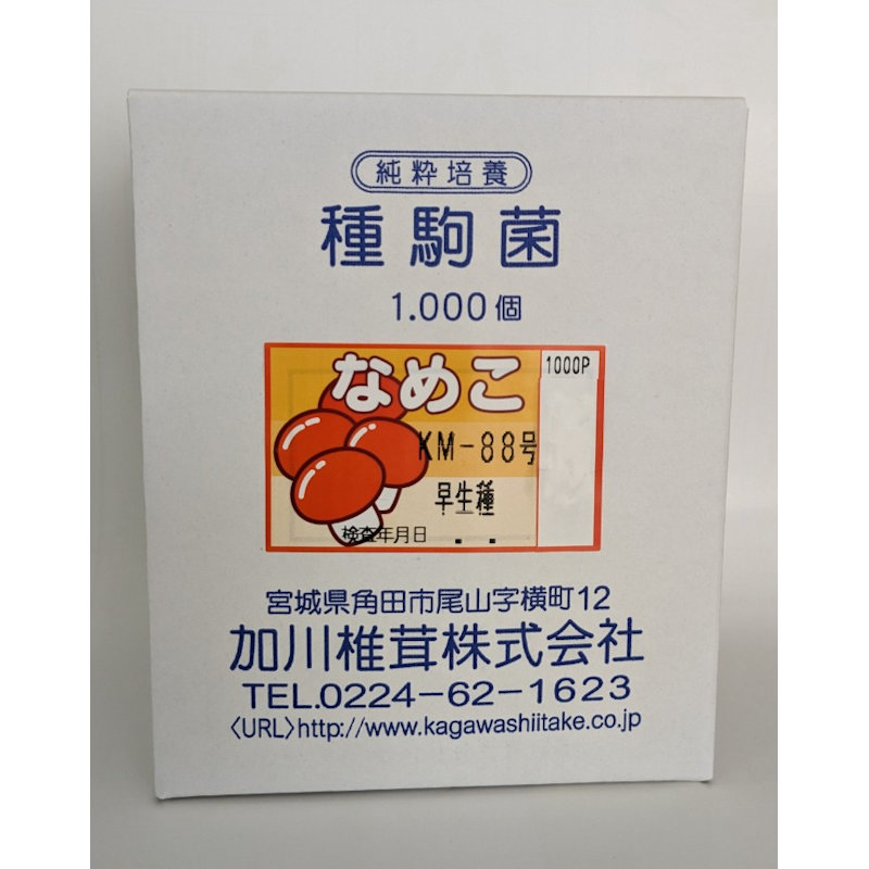 【宅配専用】　なめこ　種駒　ＫＭ－８８号　早生種　１０００駒