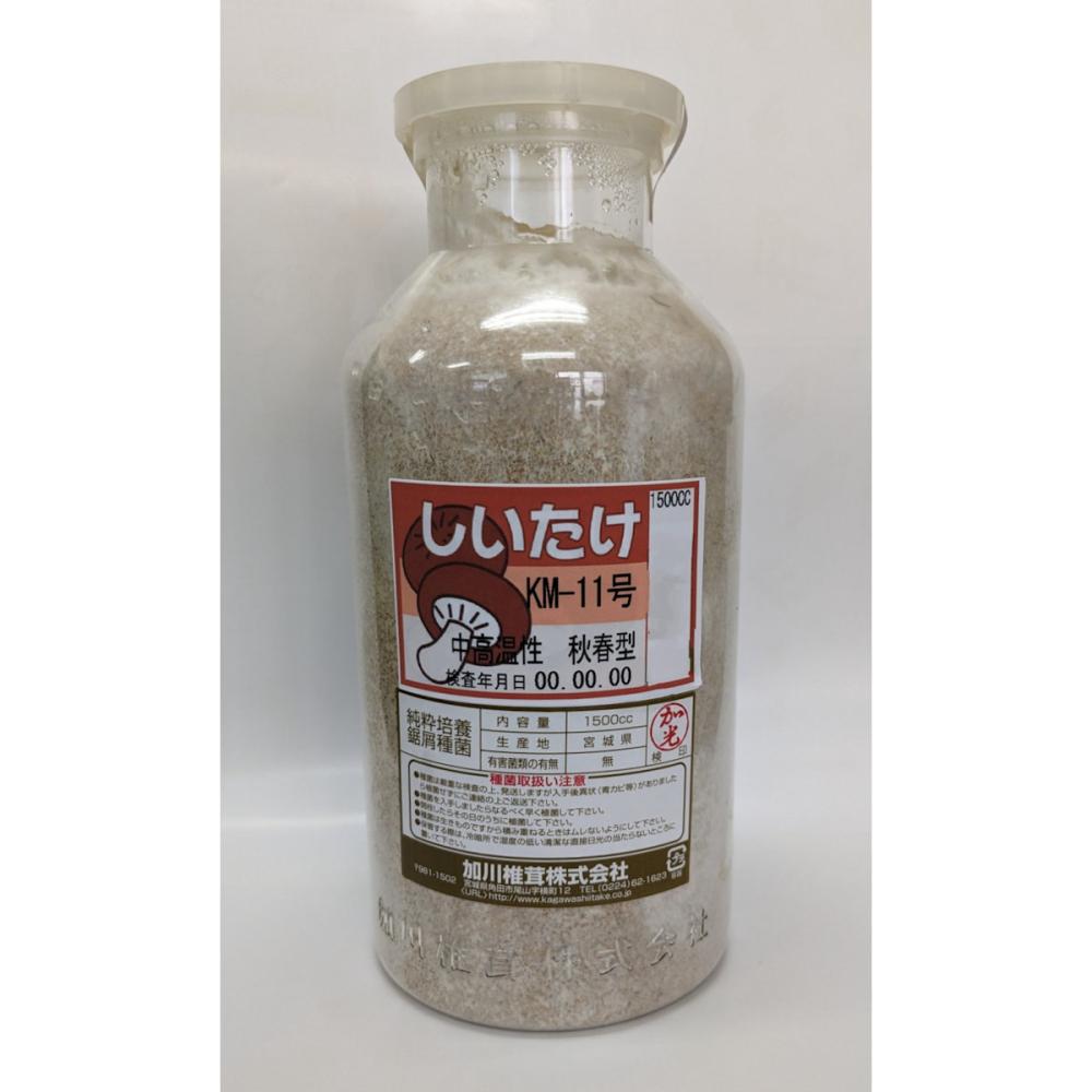 【宅配専用】　しいたけ　種菌　ＫＭ－１１号　中高温性・周年型　１５００ｃｃ