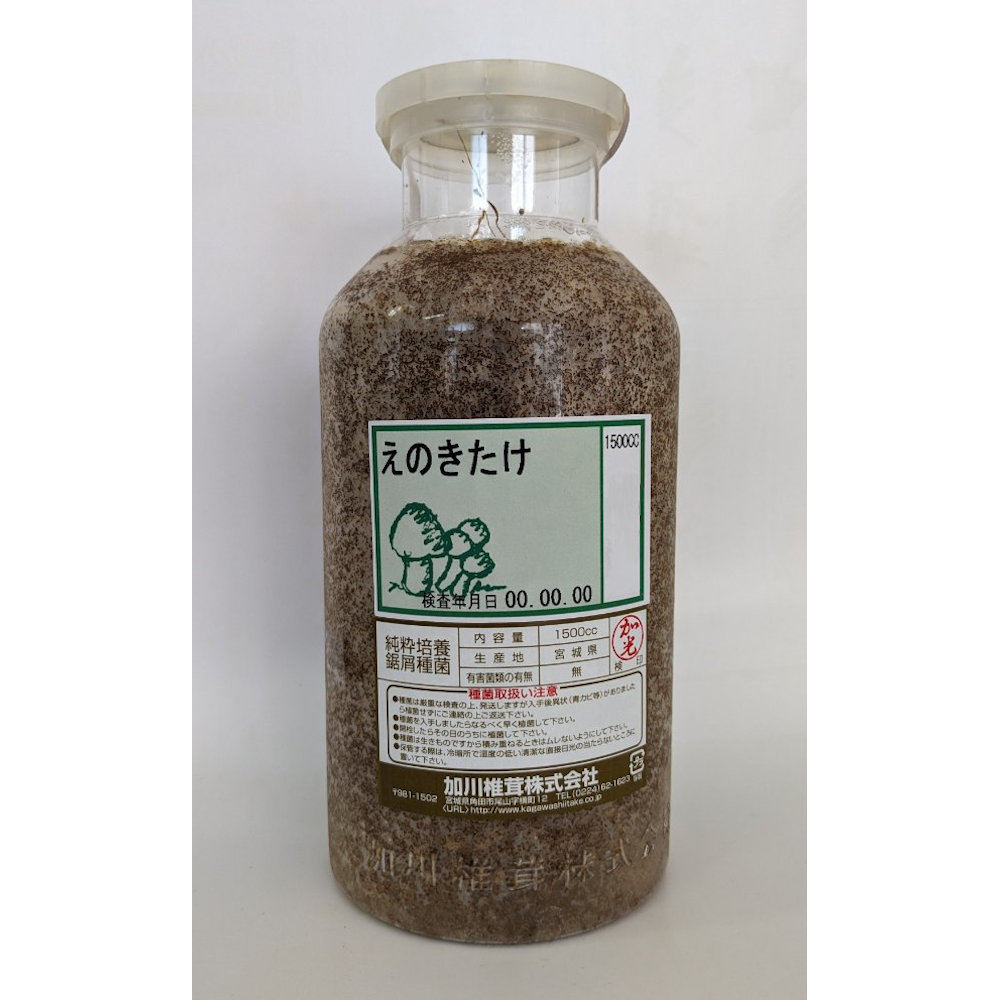 【宅配専用】　えのきたけ　種菌　１５００ｃｃ