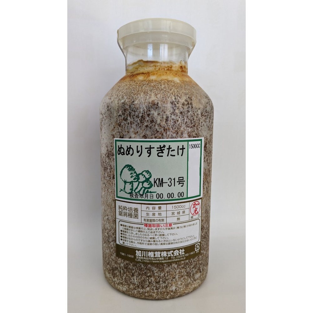 【宅配専用】　ぬめりすぎたけ　種菌　１５００ｃｃ