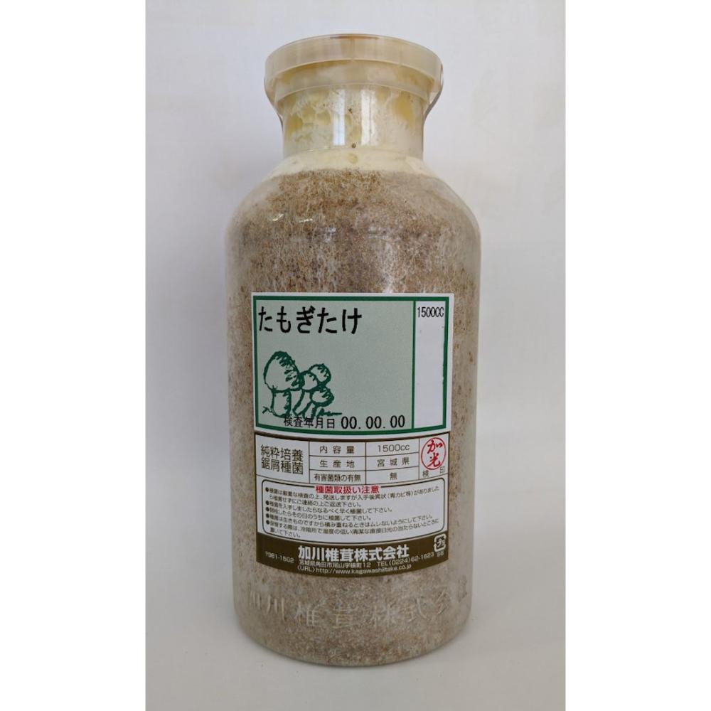 【宅配専用】　たもぎたけ　種菌　１５００ｃｃ
