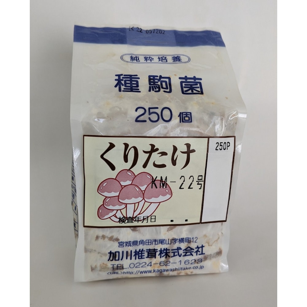 【宅配専用】　くりたけ　種駒　２５０駒