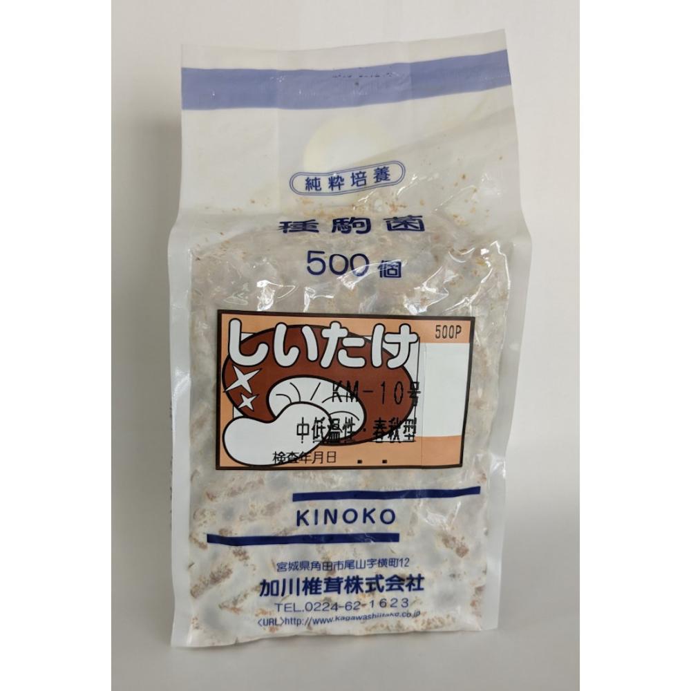 【宅配専用】　しいたけ　種駒　ＫＭ－１０号　中低温性・春秋型　５００駒