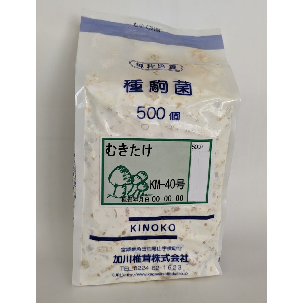 【宅配専用】　むきたけ　種駒　５００駒