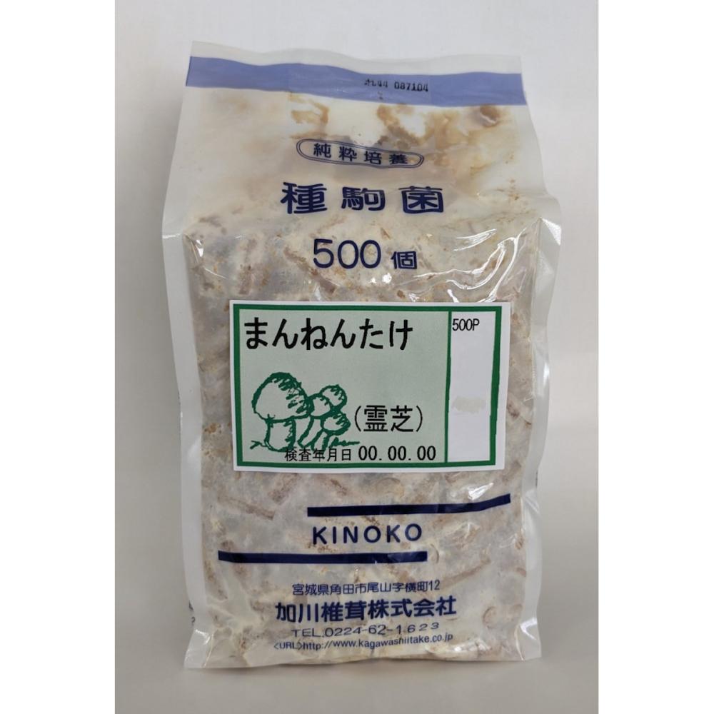 【宅配専用】　まんねんたけ　種駒　５００駒