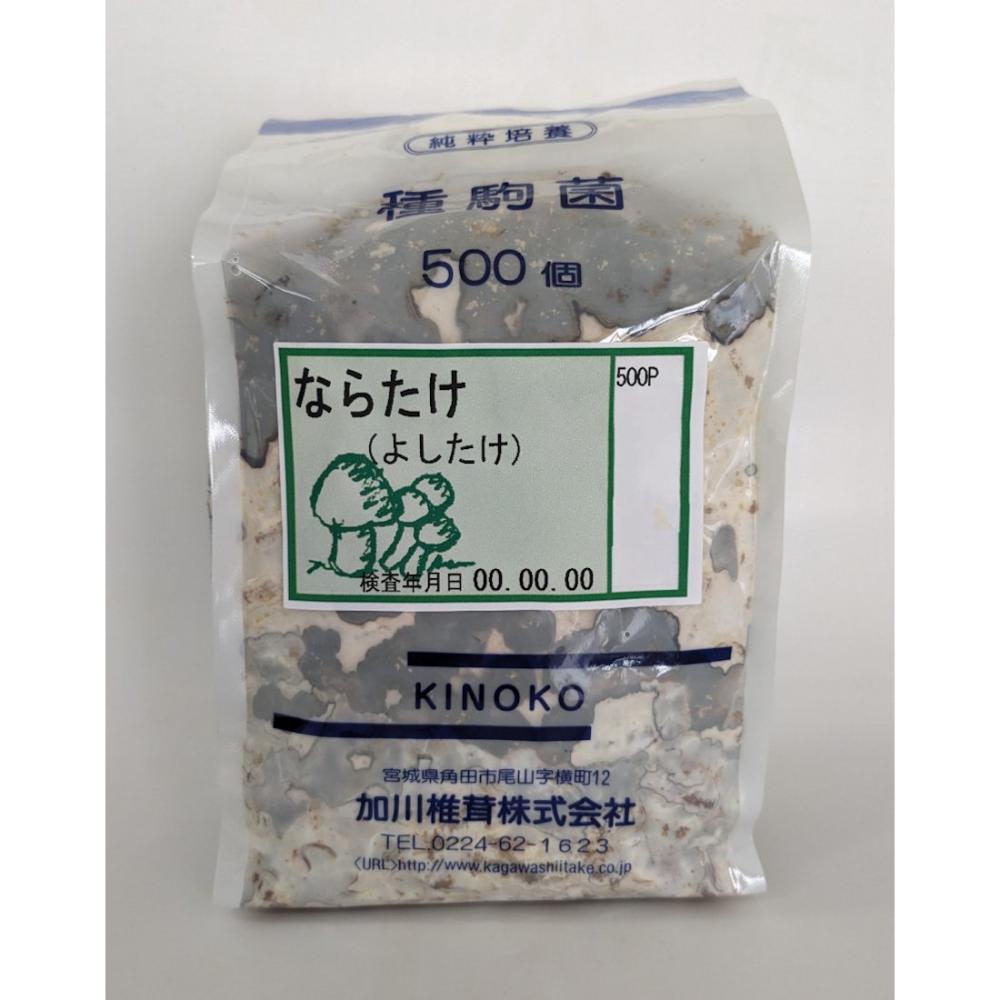 【宅配専用】　ならたけ　種駒　５００駒