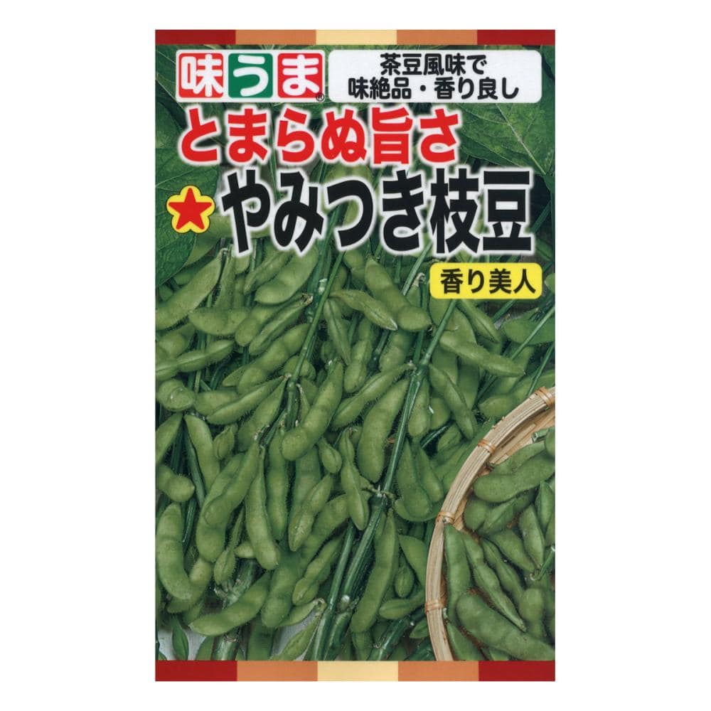 トーホクのたね エダマメ種子 やみつき枝豆 香り美人