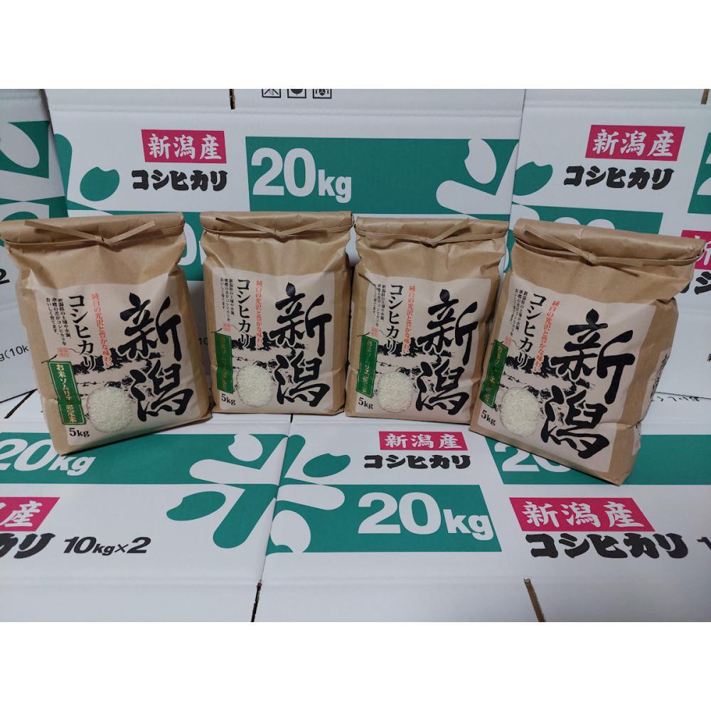 令和5年度産 　新潟こしひかり　20kg(5kg×4袋)　特別栽培米