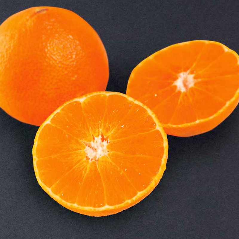 25年お歳暮】愛媛県産 紅まどんな Y13－4【注文期限12月3日