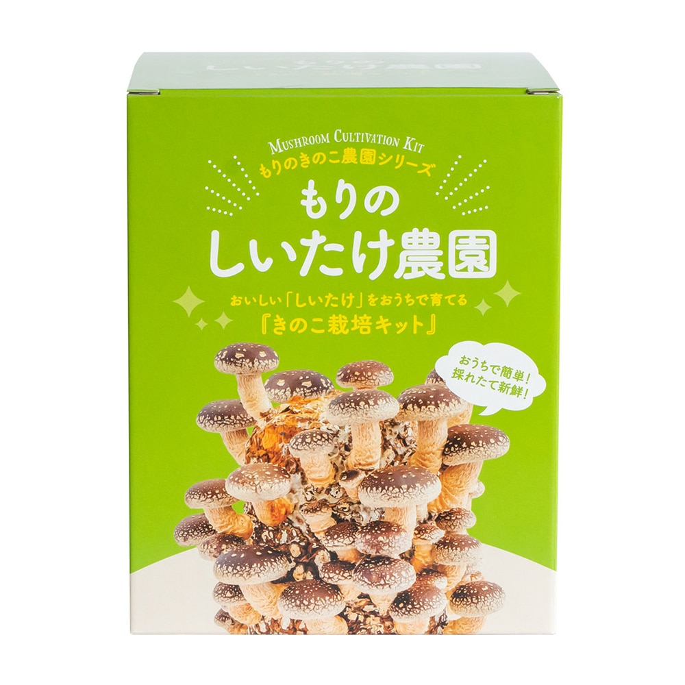 【宅配専用】　もりのしいたけ農園