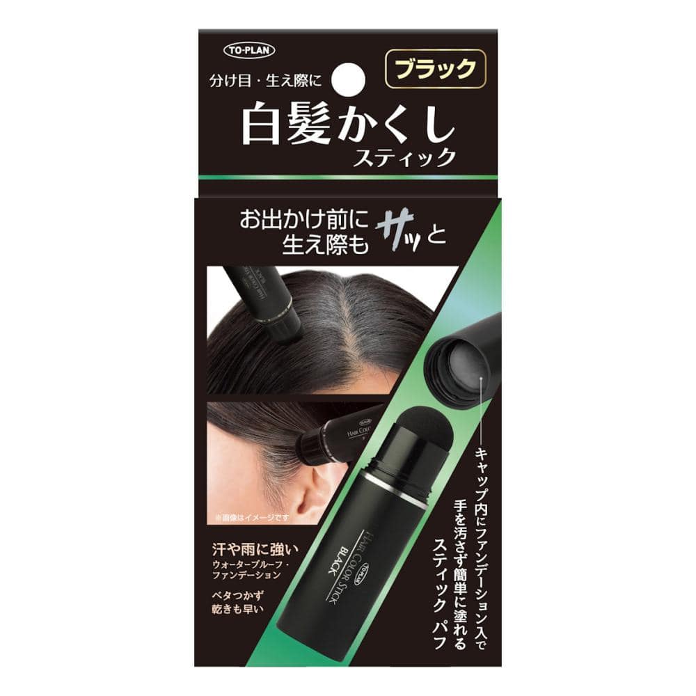 TO-PLAN 白髪かくしスティック ブラック 4g